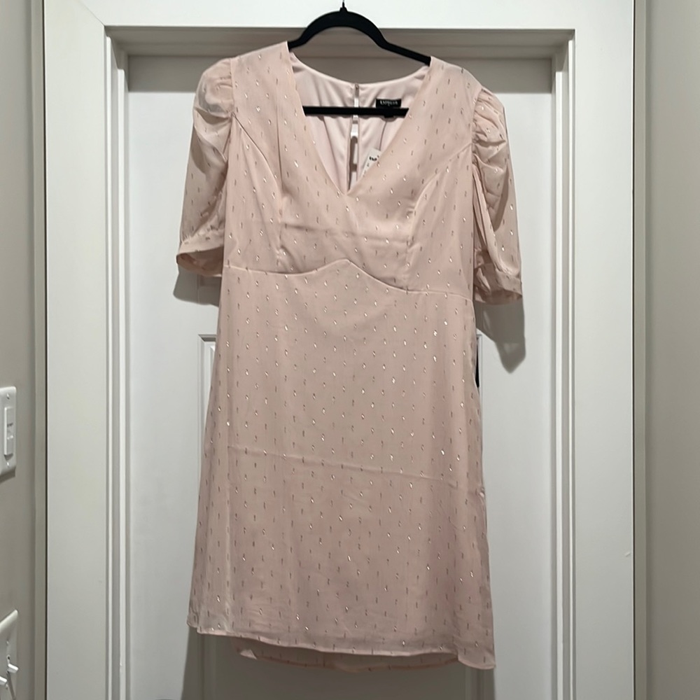 NWT Express Pink Dress